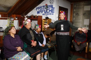 17. Mapuche