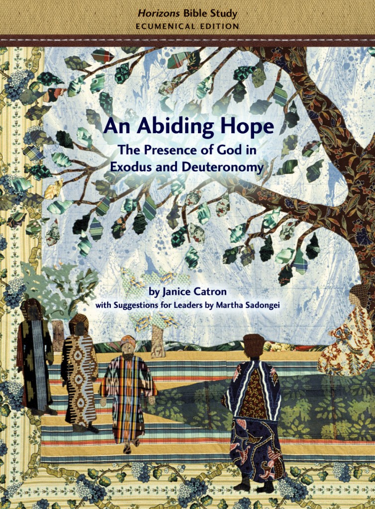 Small-An-Abiding-Hope-Cover